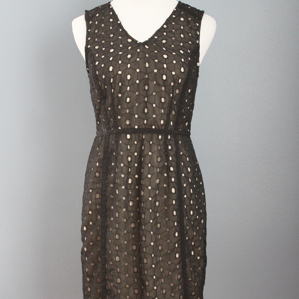 The Limited Dress
